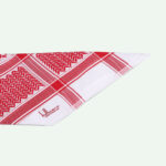 شماغ بليزارو FSH-070-09R